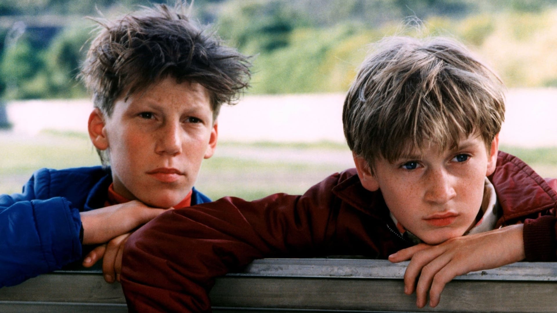 Foto do filme La vie est un long fleuve tranquille