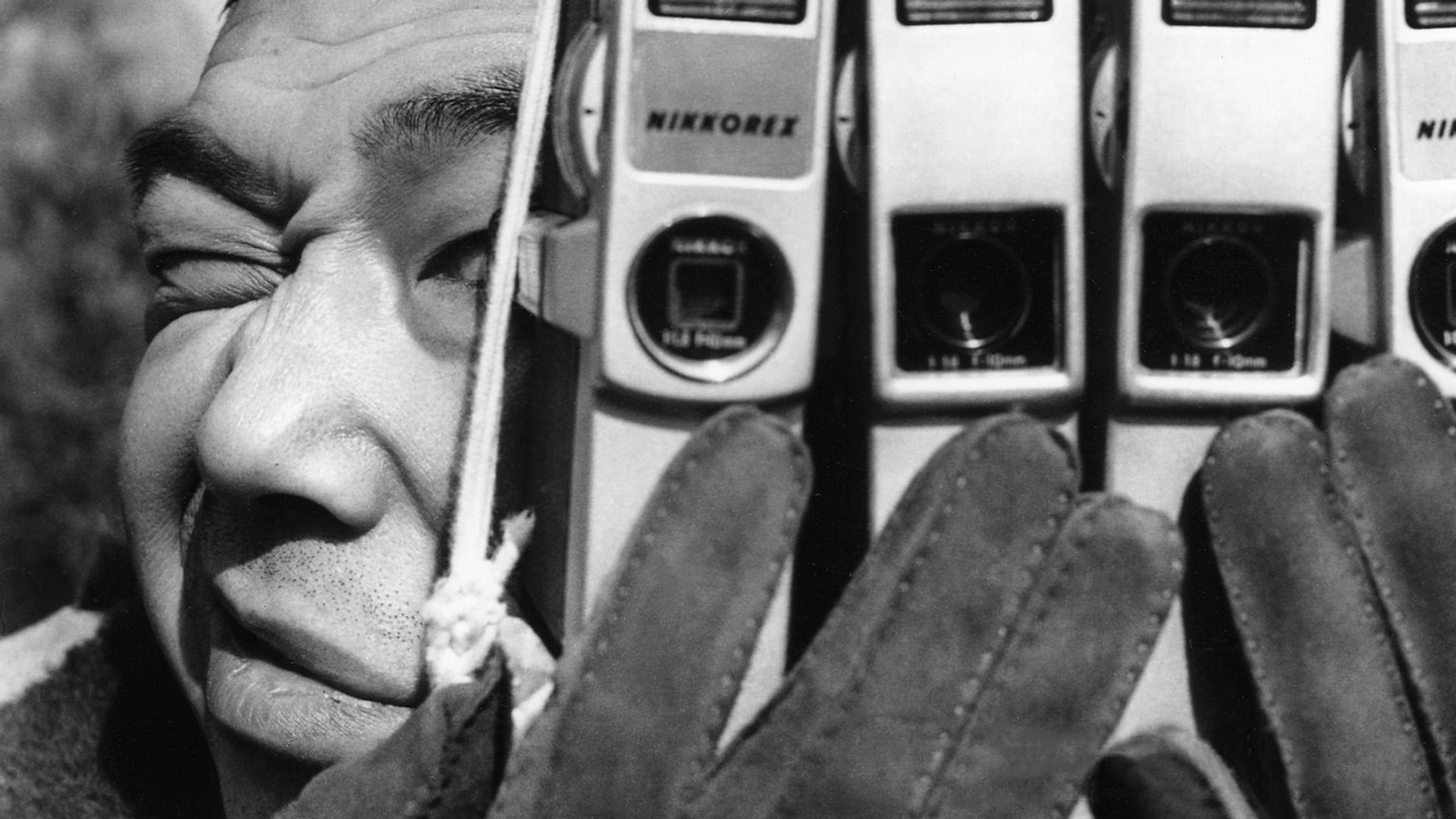 Foto do filme Os Pornógrafos: Introdução a Antropologia