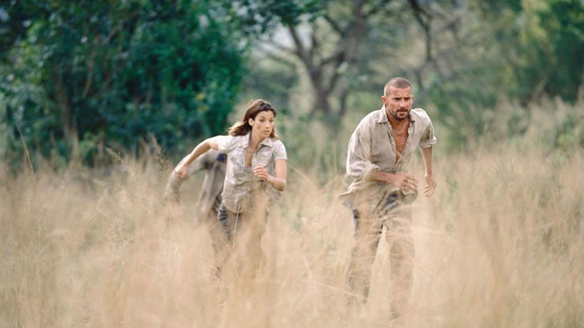 Foto do filme Primitivo