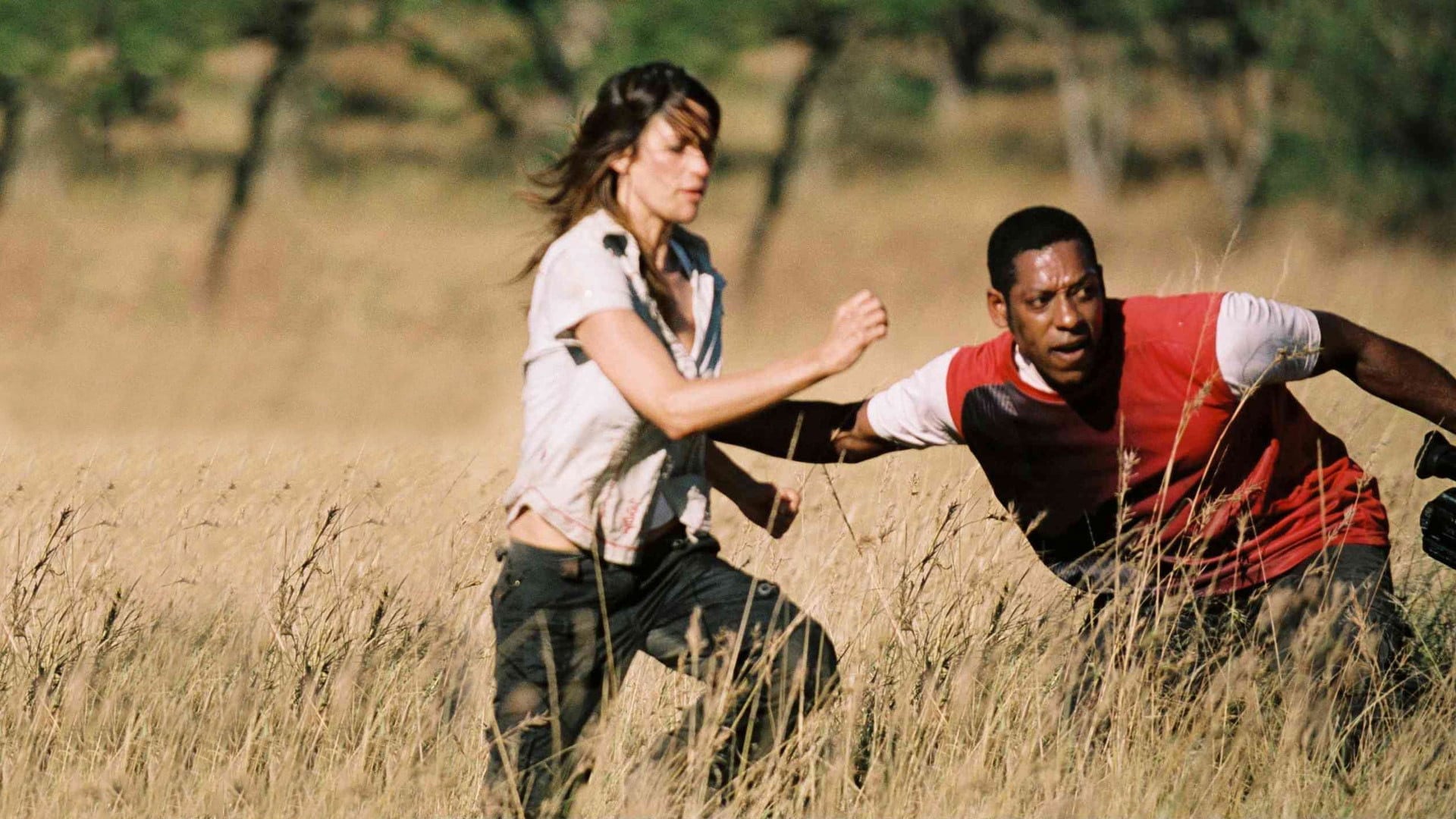 Foto do filme Primitivo