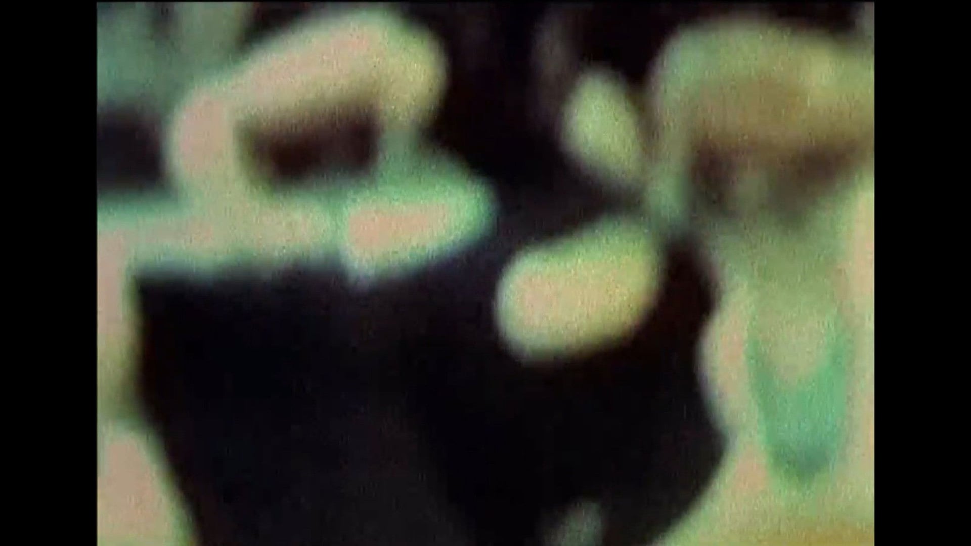 Foto do filme Julien Donkey-Boy