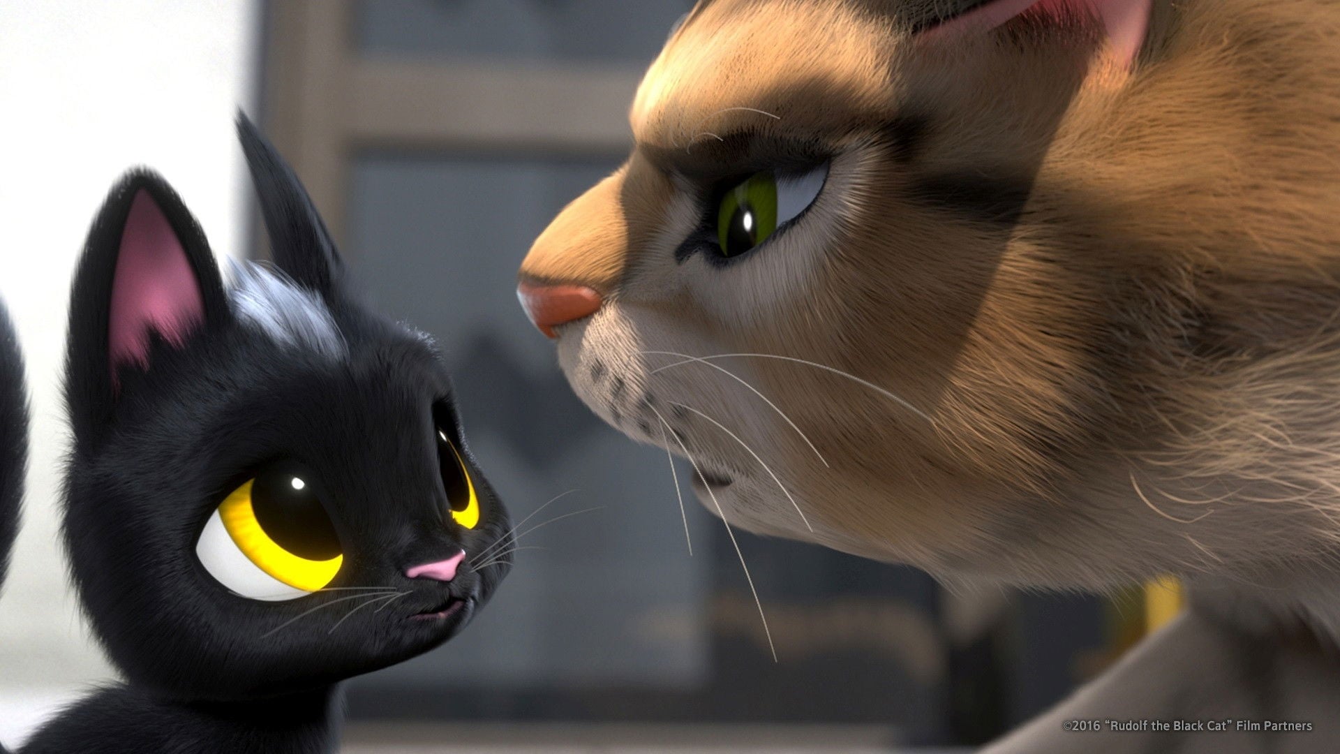 Foto do filme Rudolf the Black Cat