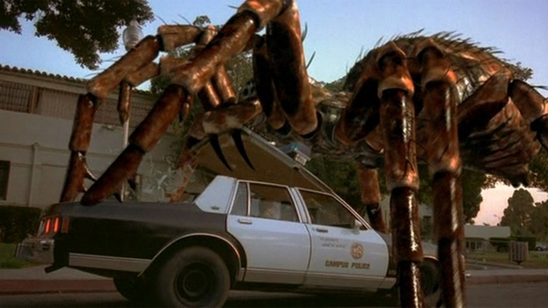 Foto do filme Aranhas Assassinas