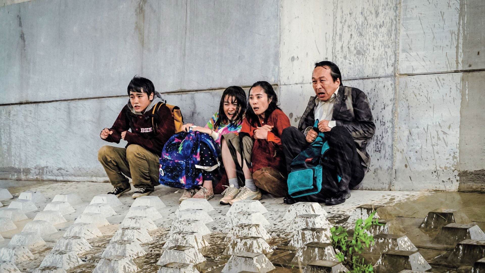 Foto do filme Survival Family