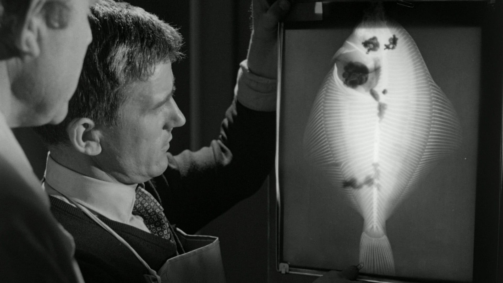 Foto do filme Behemoth, the Sea Monster