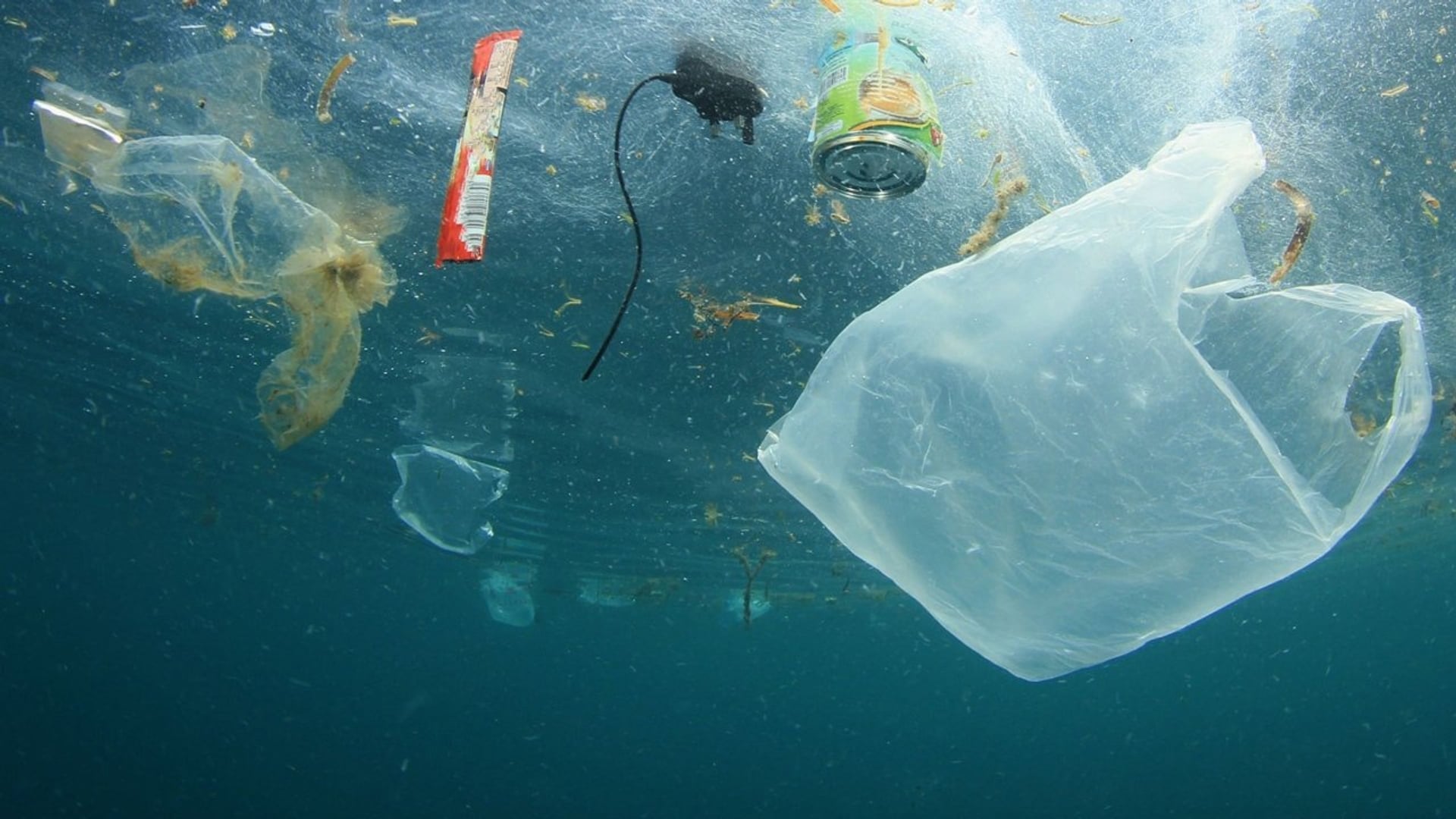 Foto do filme Oceanos de Plástico