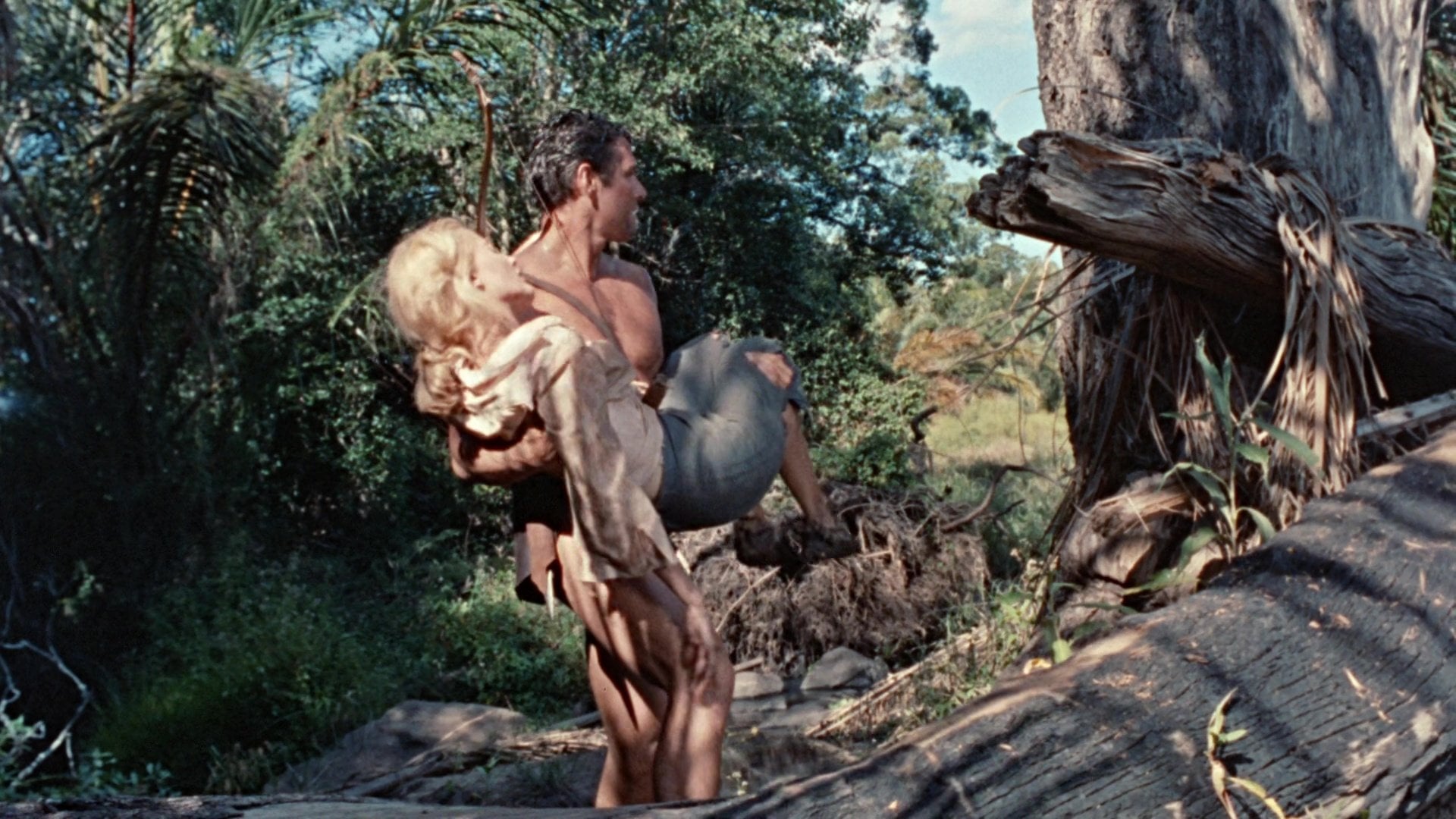 Foto do filme A Maior Aventura de Tarzan