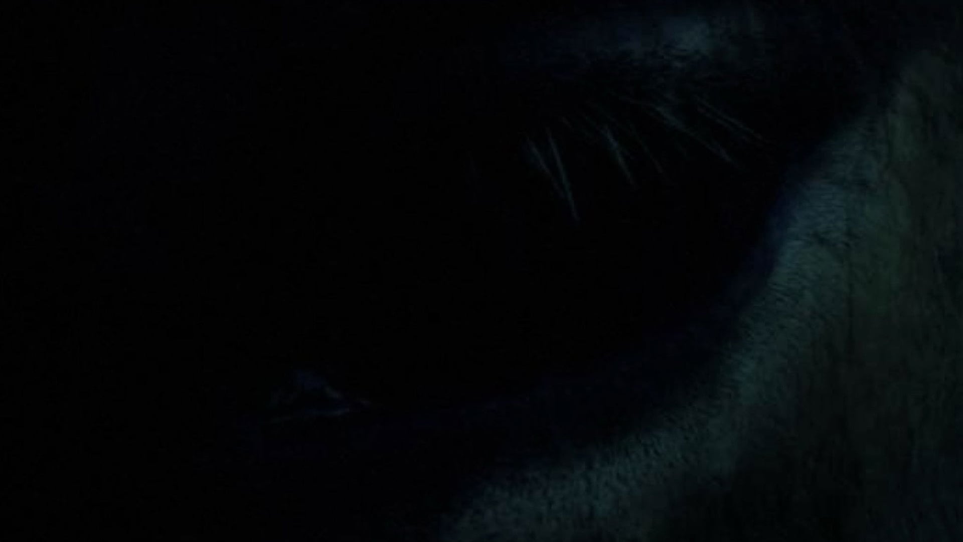 Foto do filme O Sono Tem Sua Morada