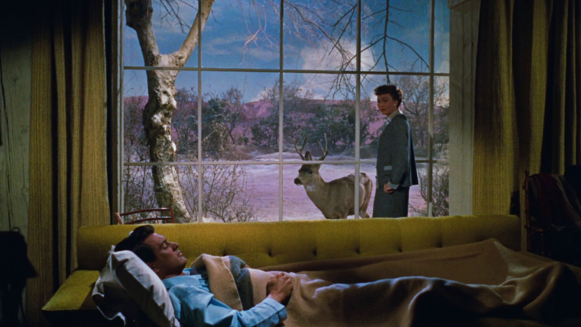 Foto do filme Tudo Que o Céu Permite