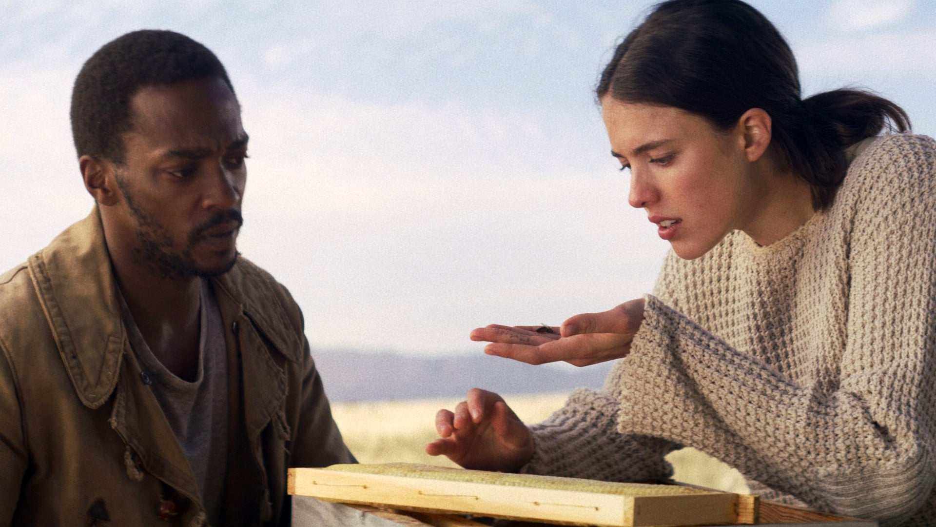 Foto do filme IO – O Último na Terra