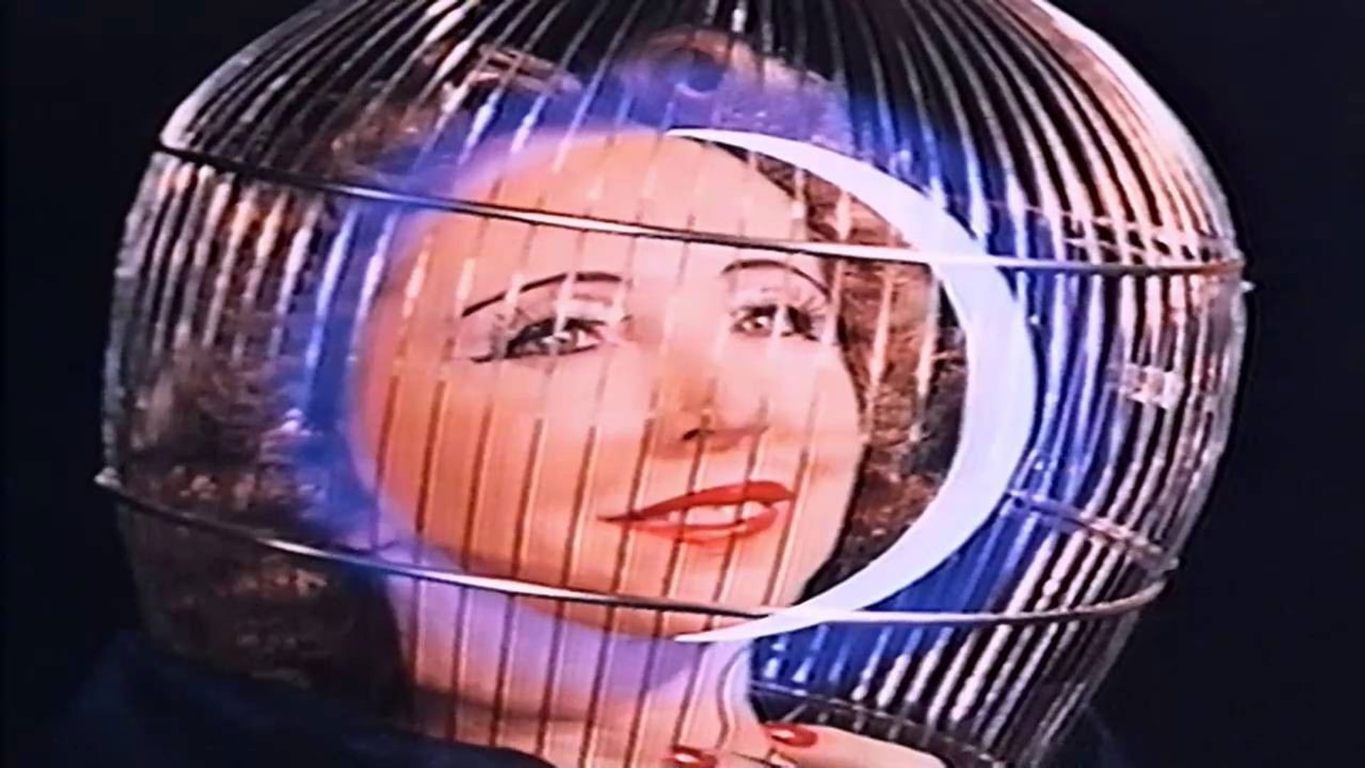 Foto do filme The Inauguration of the Pleasure Dome