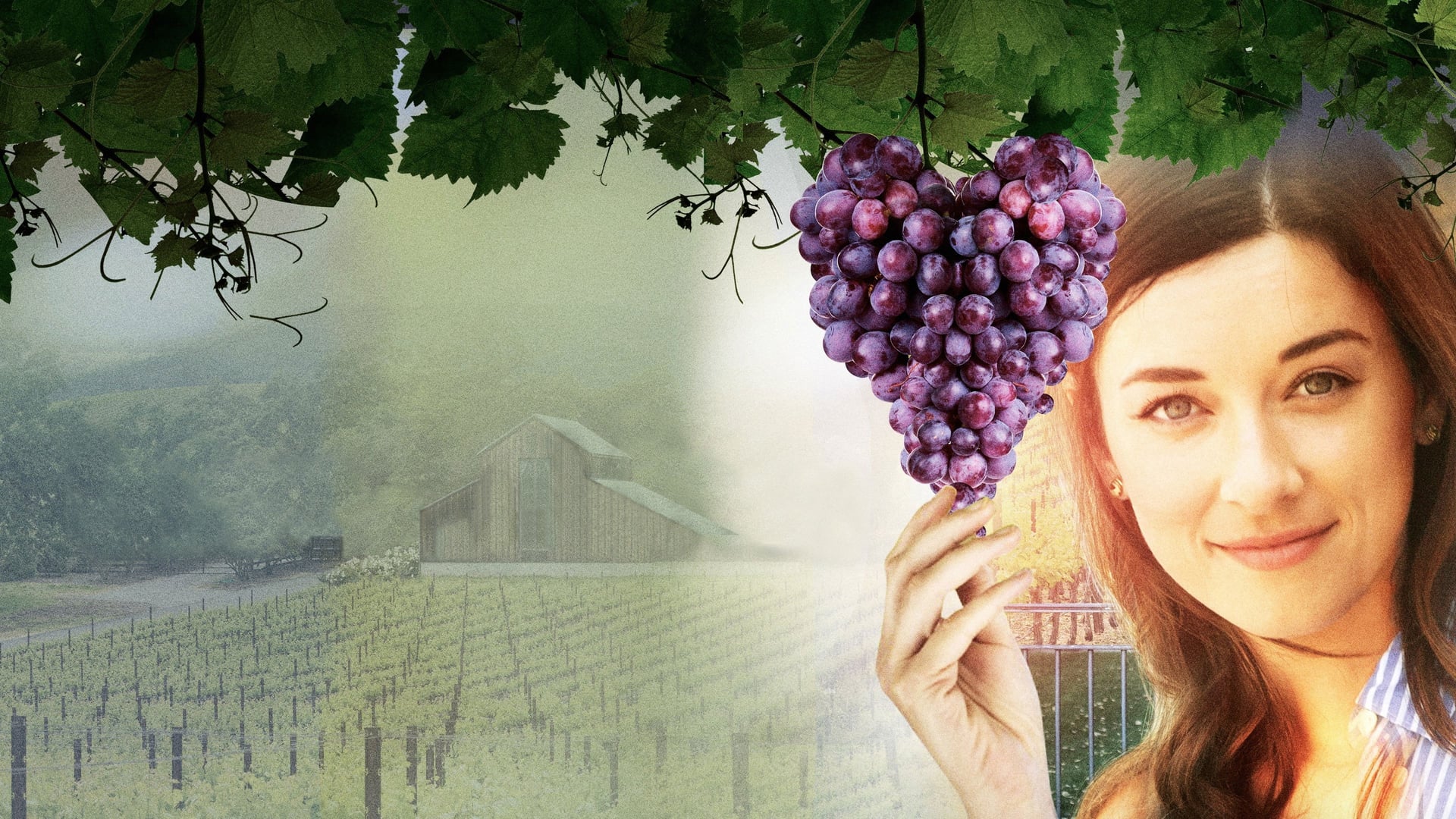 Foto do filme Love on the Vines