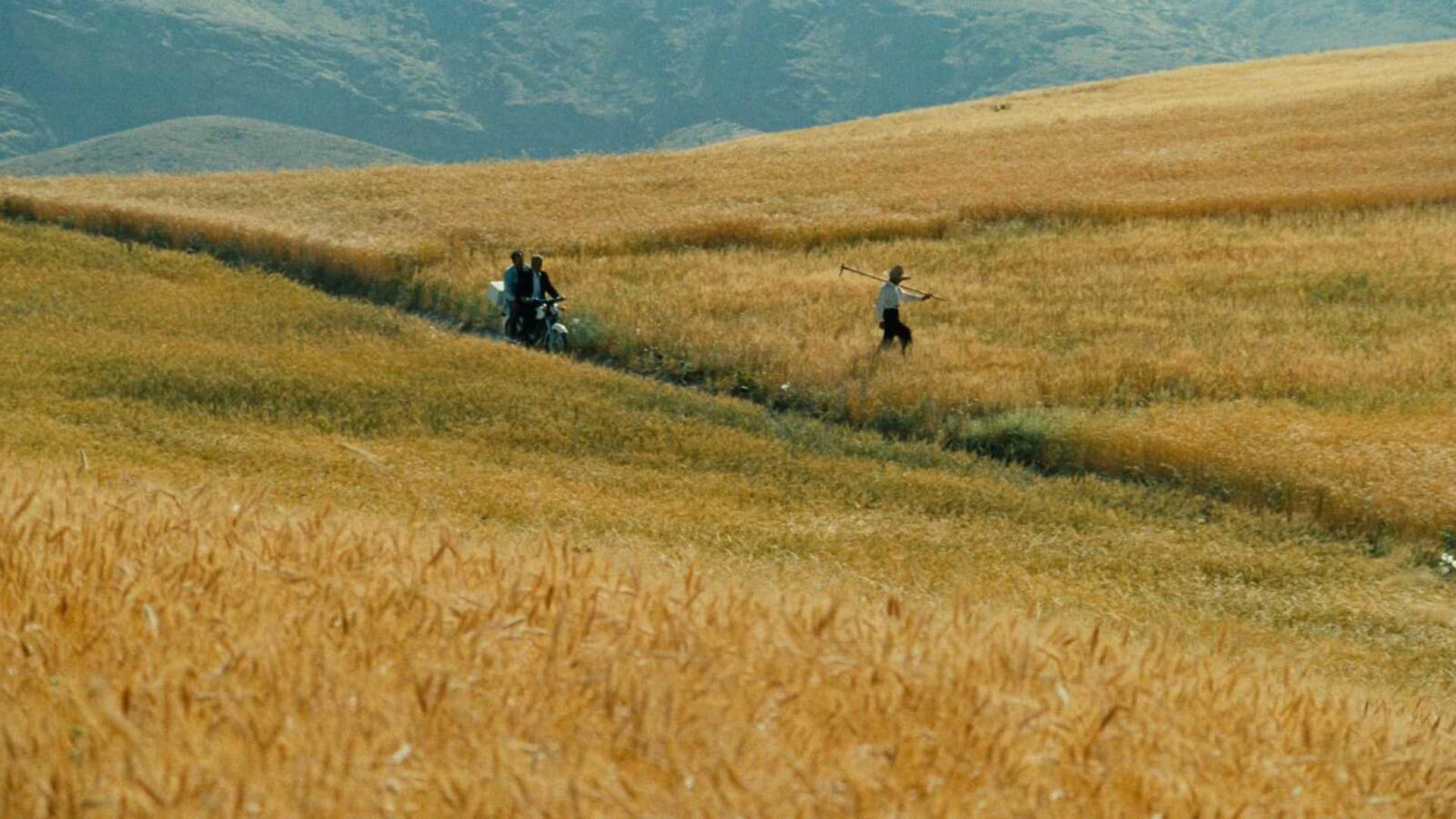 Foto do filme O Vento nos Levará