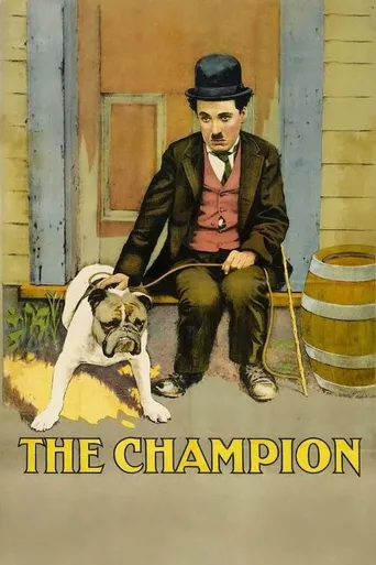 Campeão de Boxe