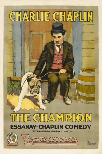 Campeão de Boxe