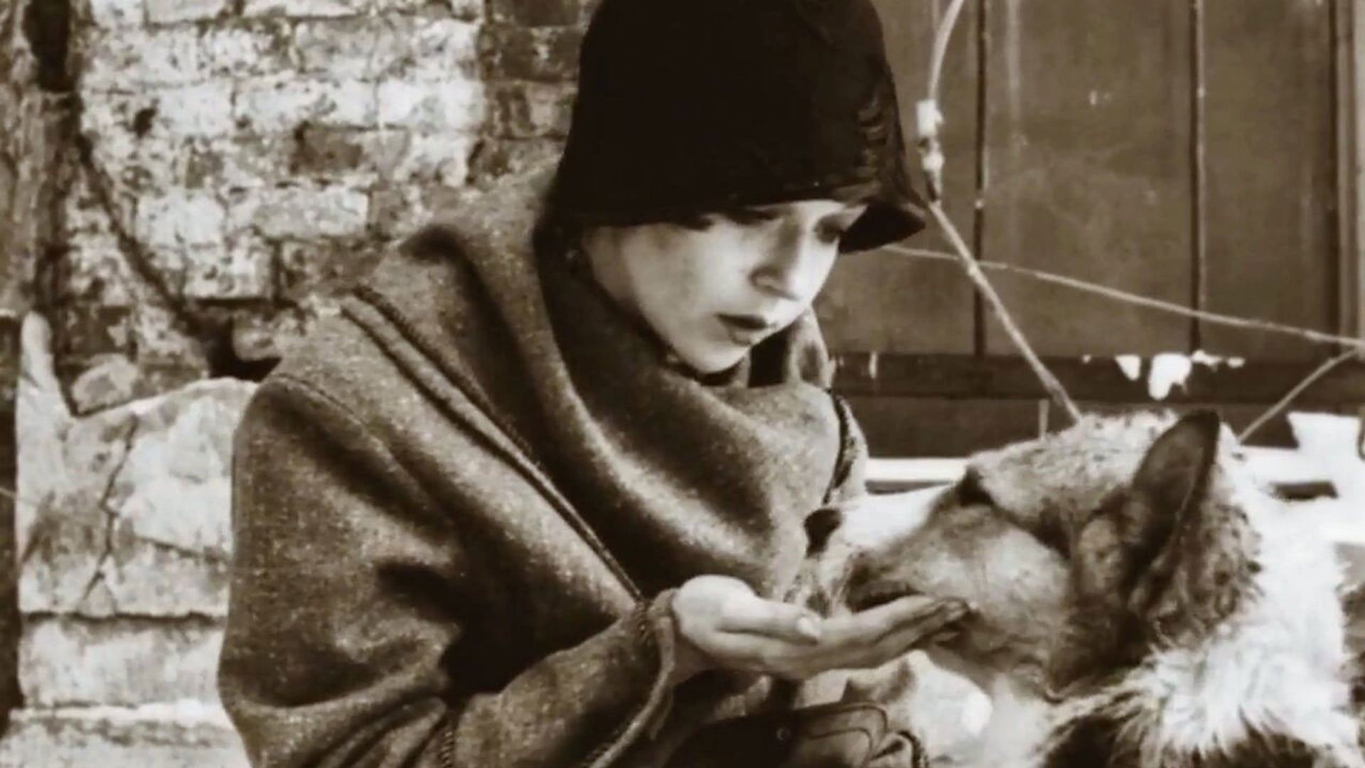 Foto do filme Heart of a Dog