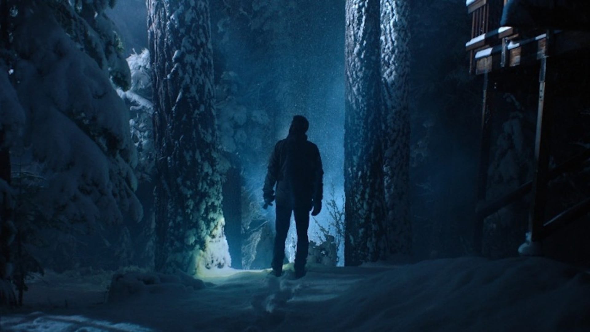 Foto do filme Dead Night