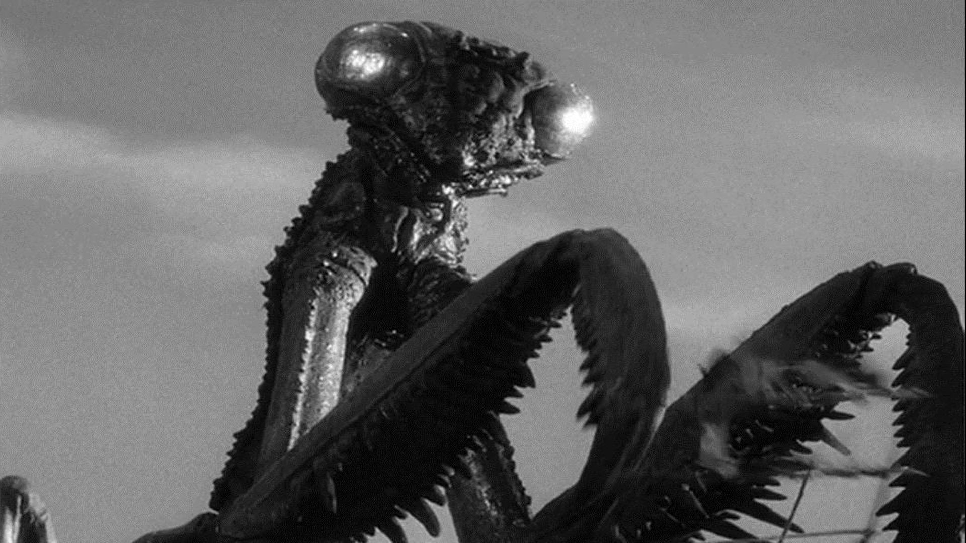 Foto do filme Fúria de uma Região Perdida