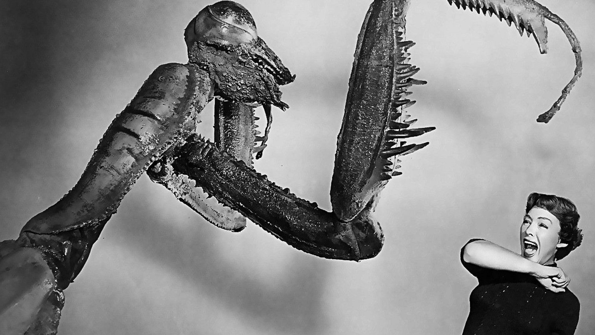 Foto do filme Fúria de uma Região Perdida