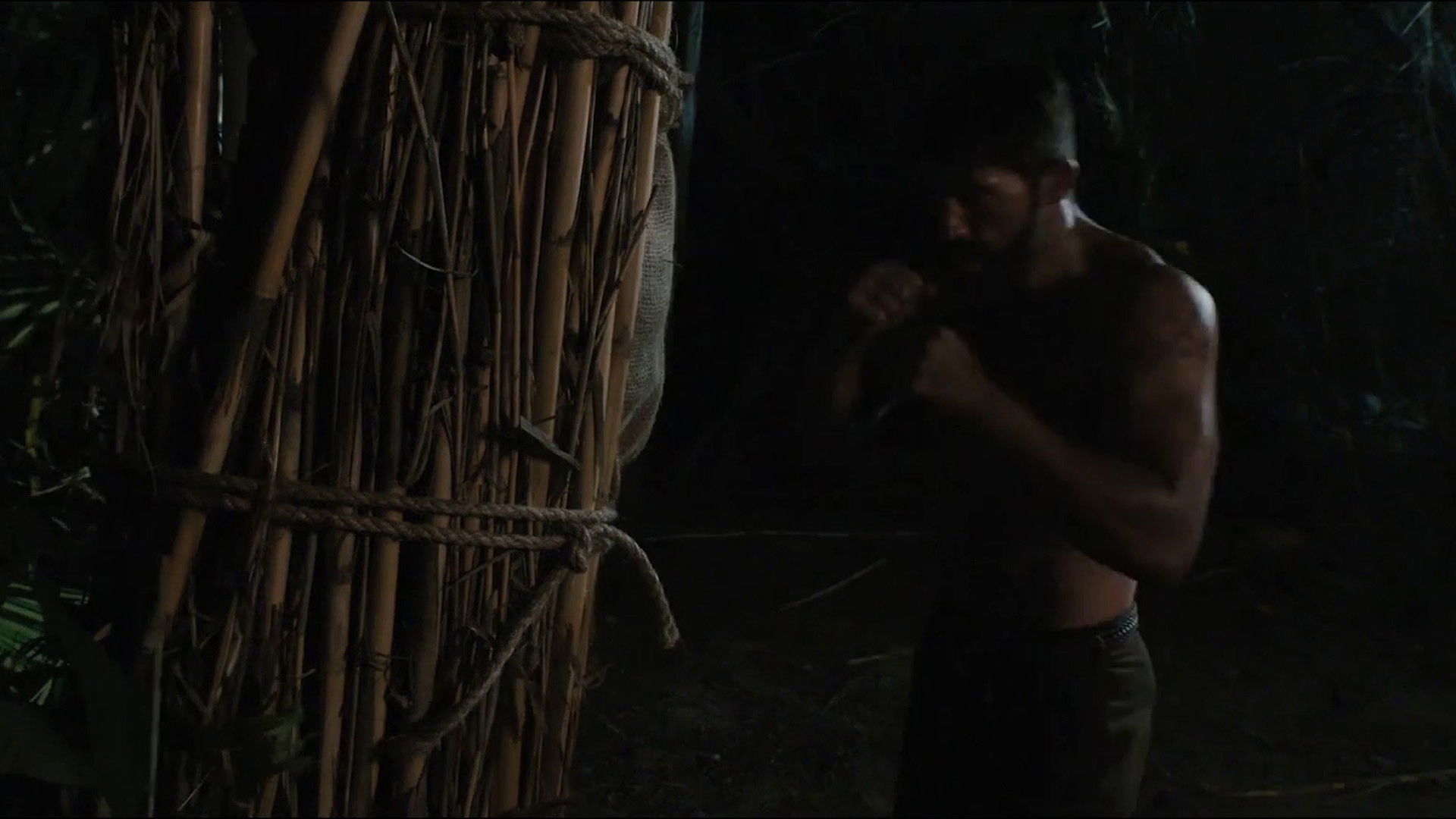 Foto do filme Cão Selvagem