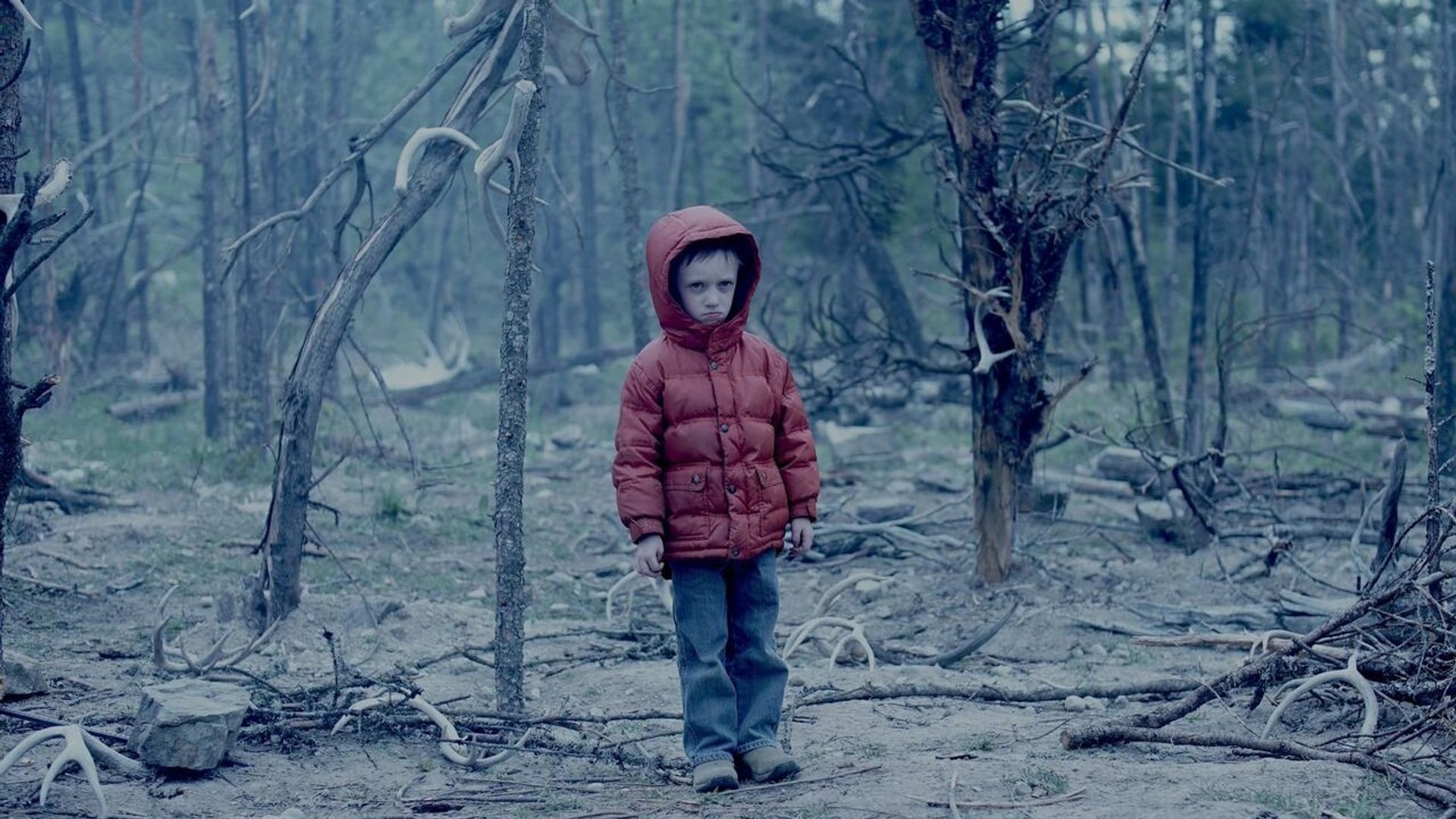 Foto do filme A Criatura Sombria