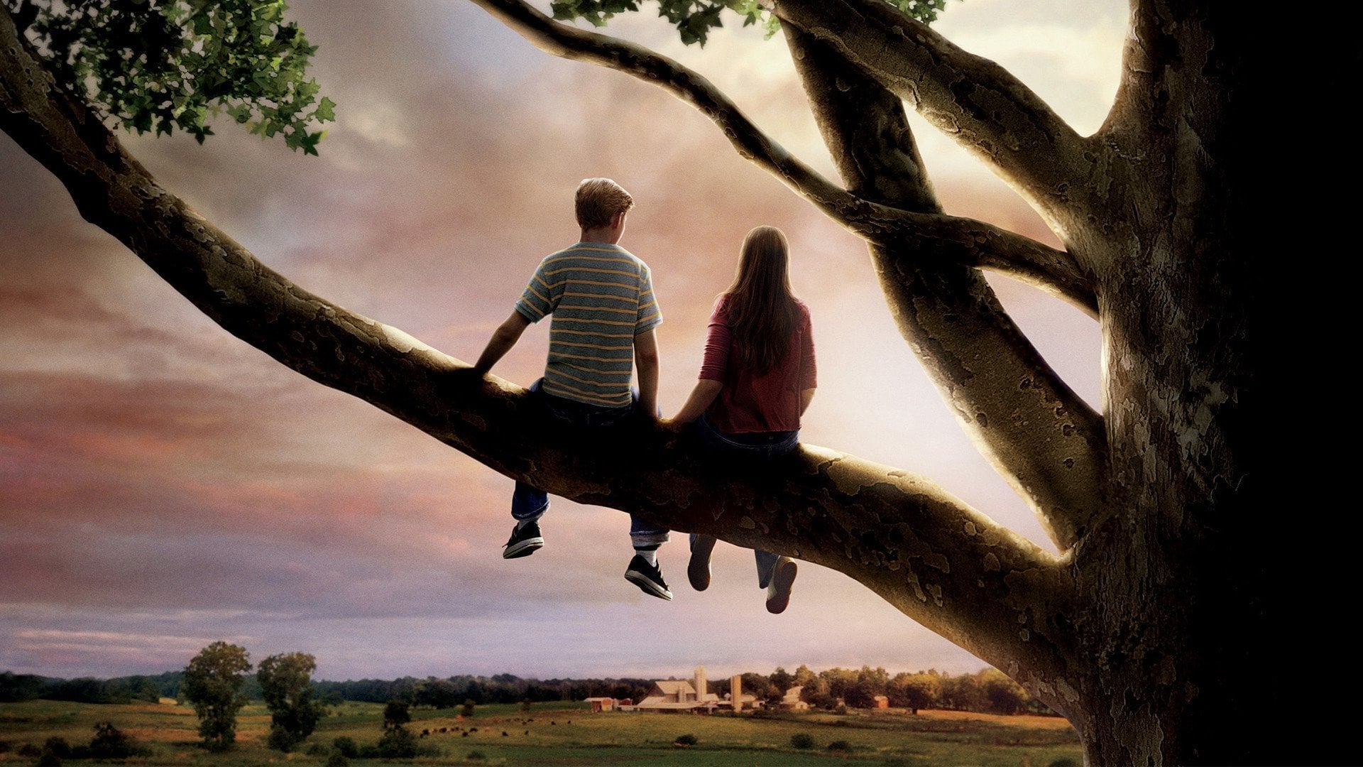 Foto do filme O Primeiro Amor