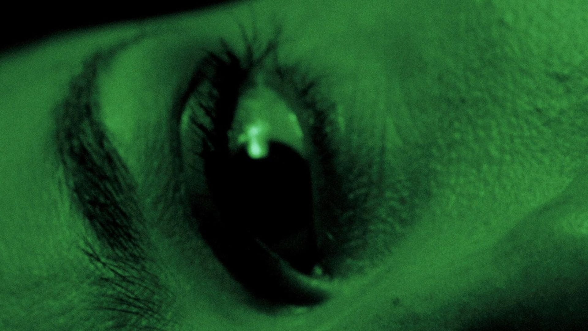 Foto do filme Amer