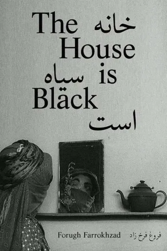 A Casa é Escura