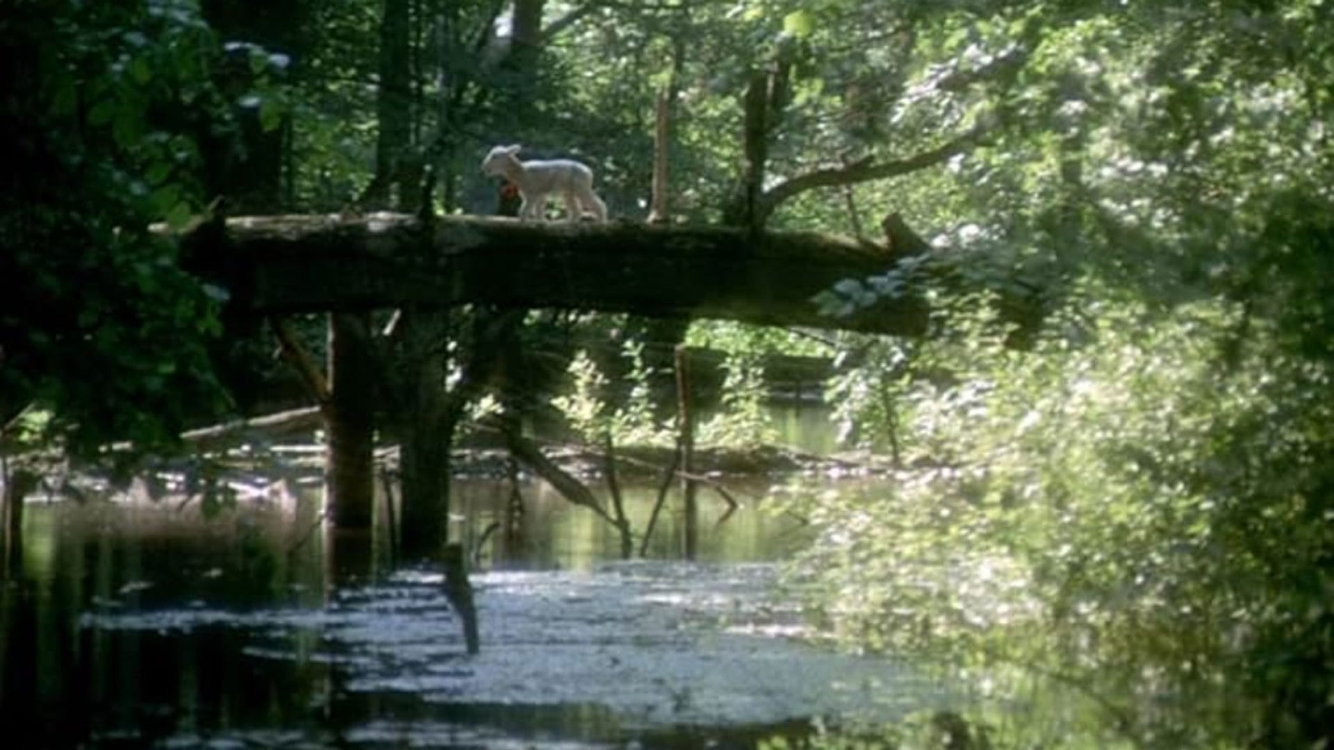 Foto do filme O Monstro