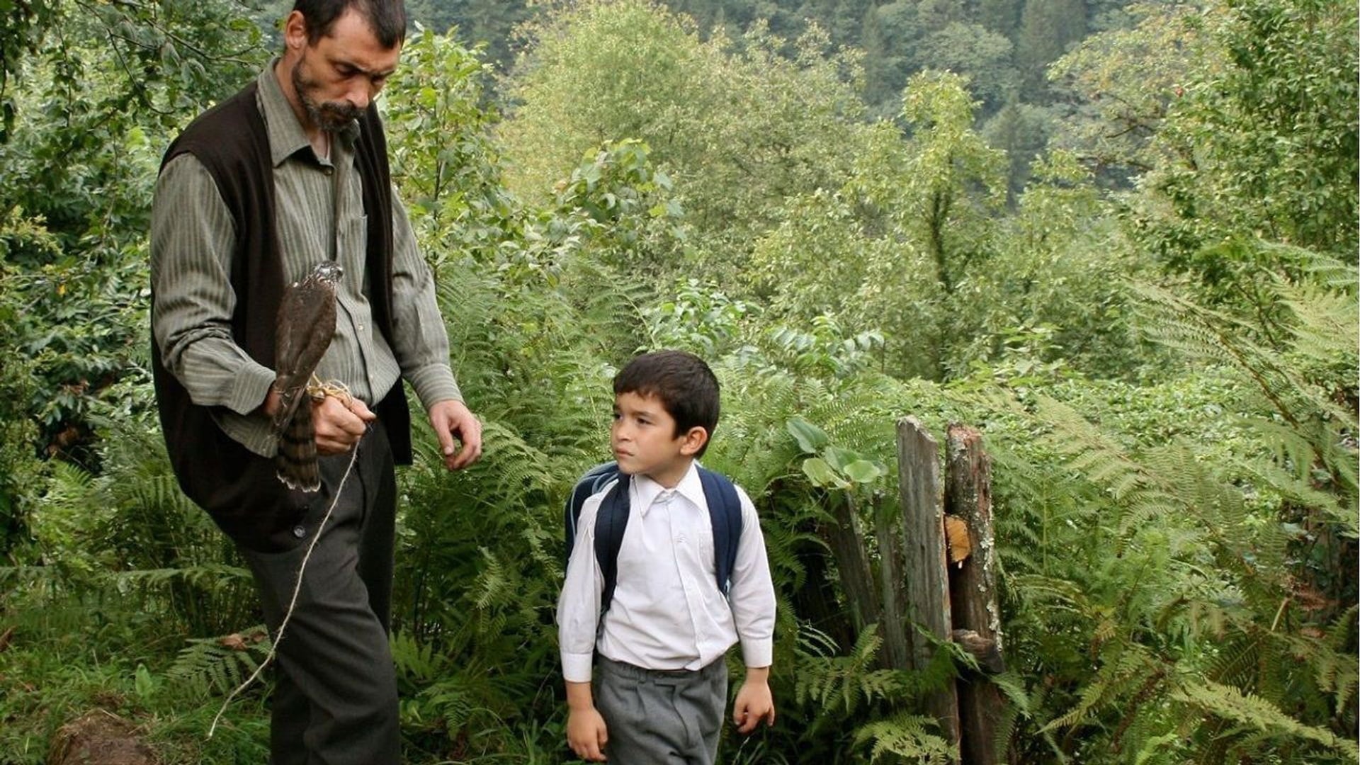 Foto do filme Um Doce Olhar