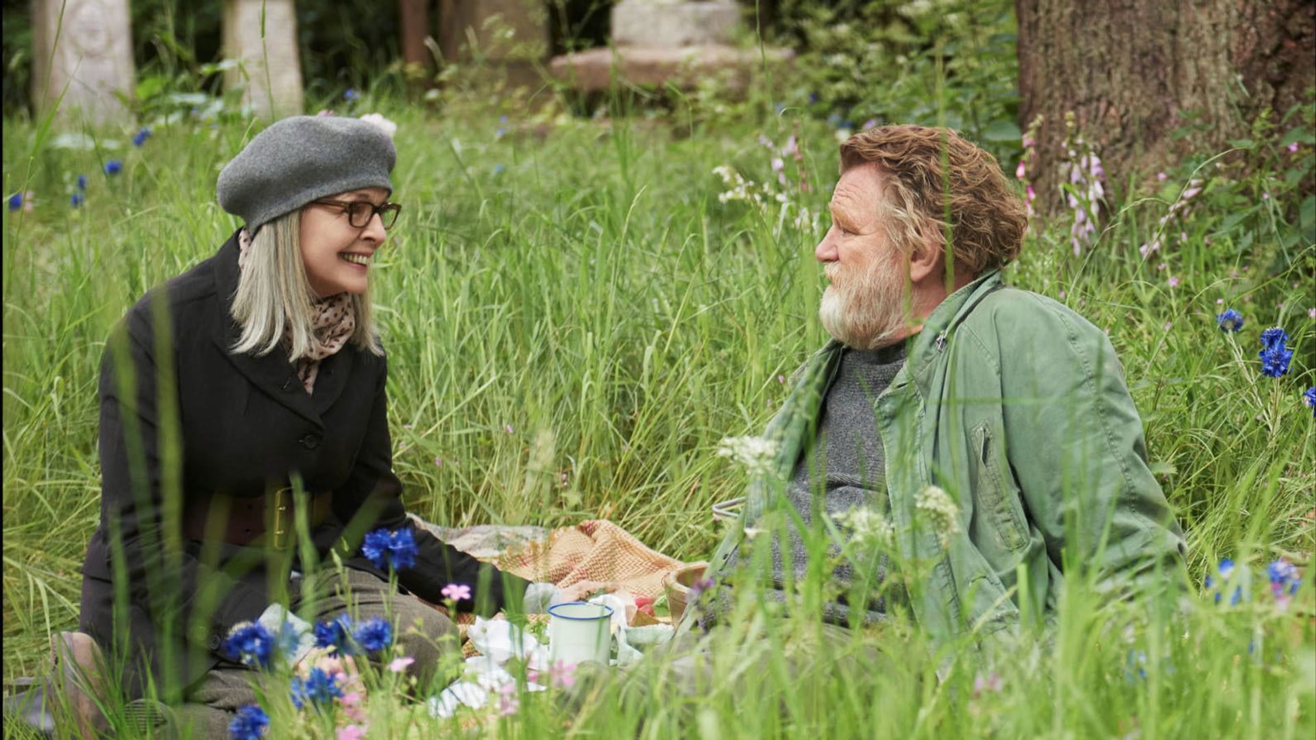Foto do filme Hampstead: Nunca é Tarde para Amar