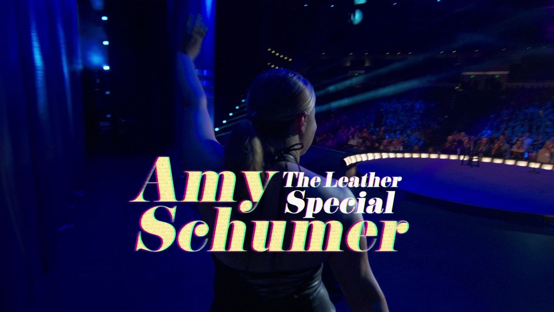 Foto do filme Amy Schumer: The Leather Special