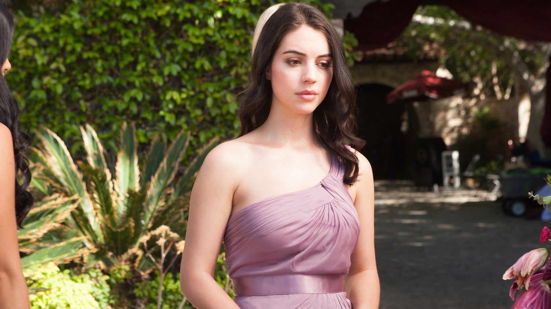 Foto do filme Amor Não Tem Preço