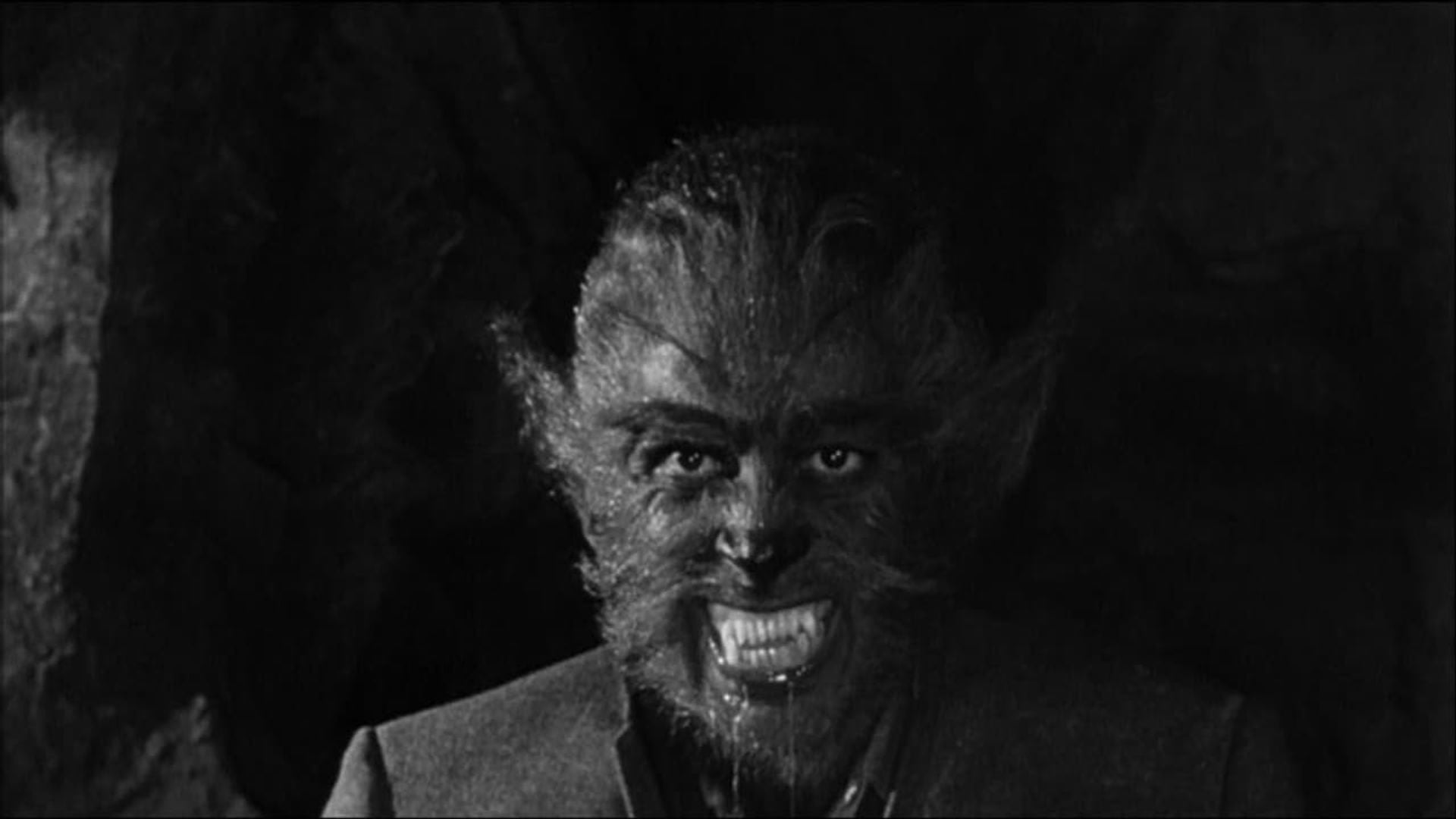 Foto do filme The Werewolf