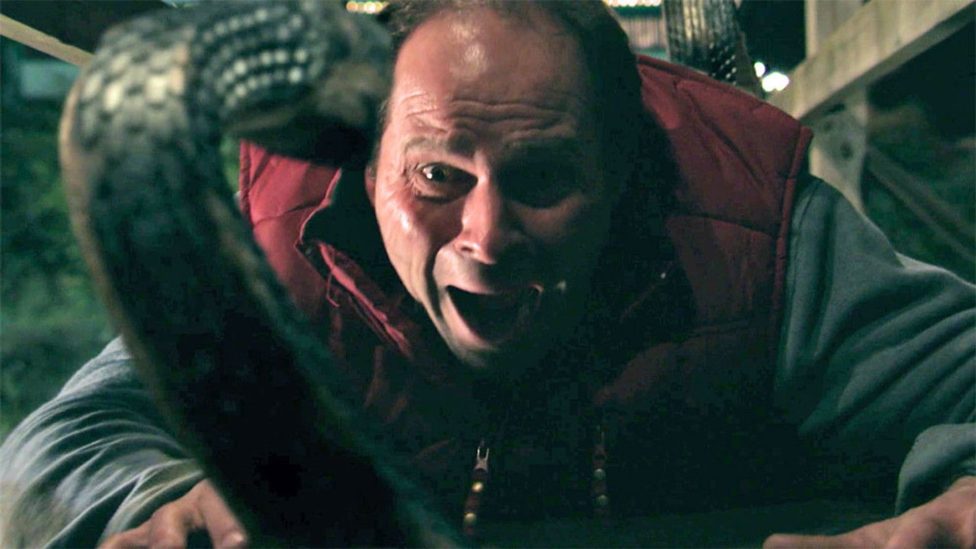 Foto do filme O Ataque das Víboras