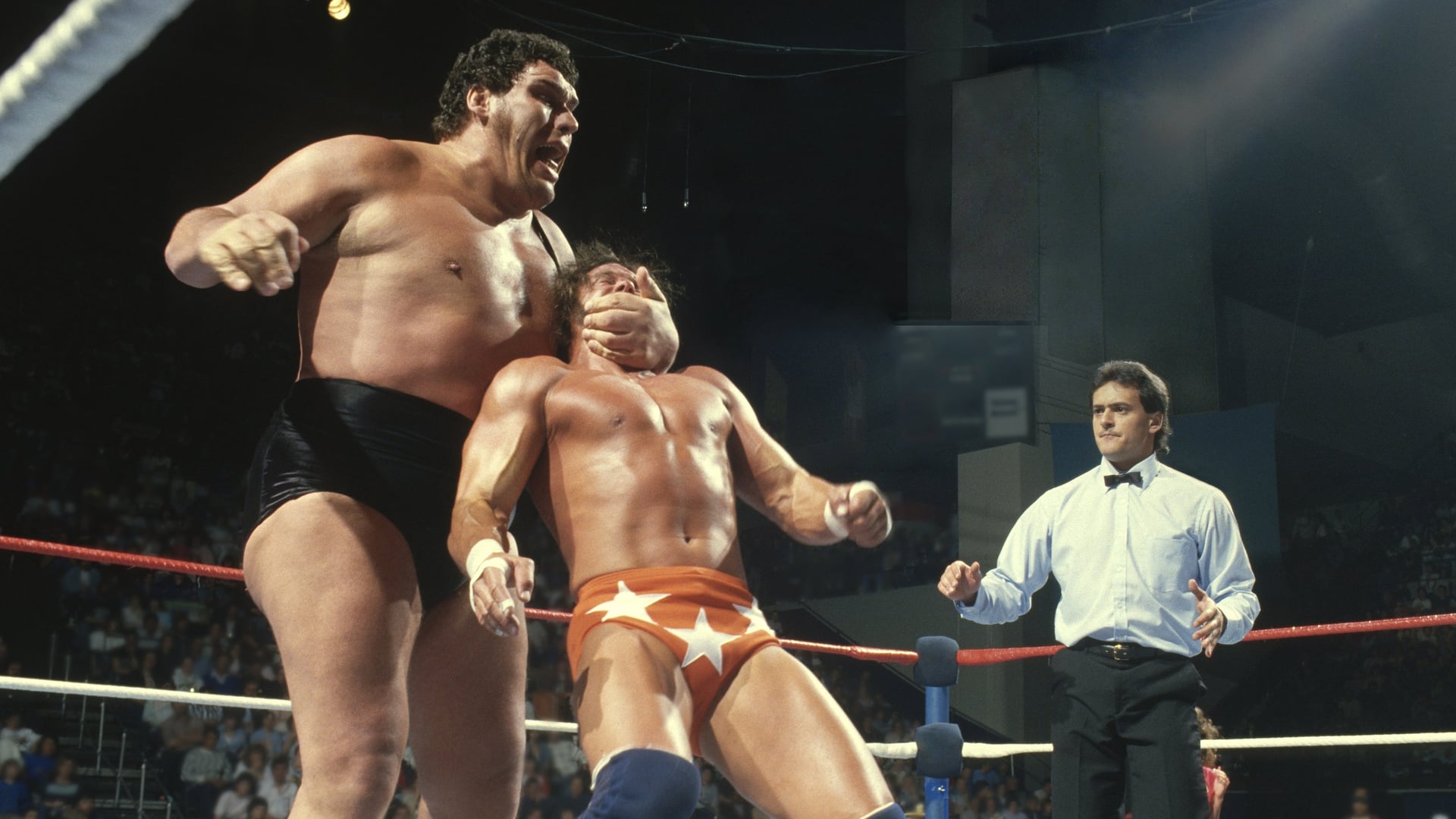 Foto do filme Andre the Giant