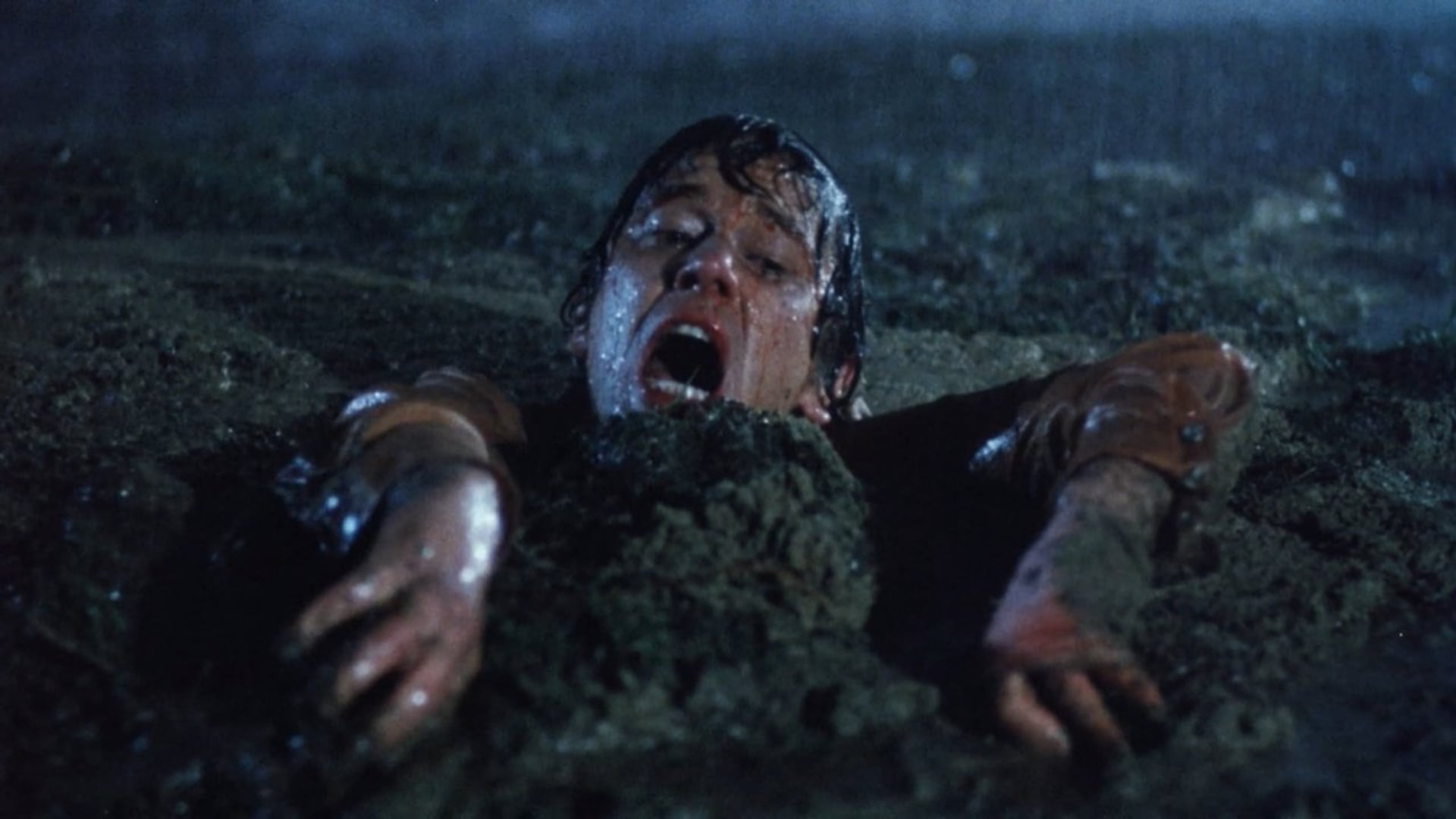 Foto do filme The Evil