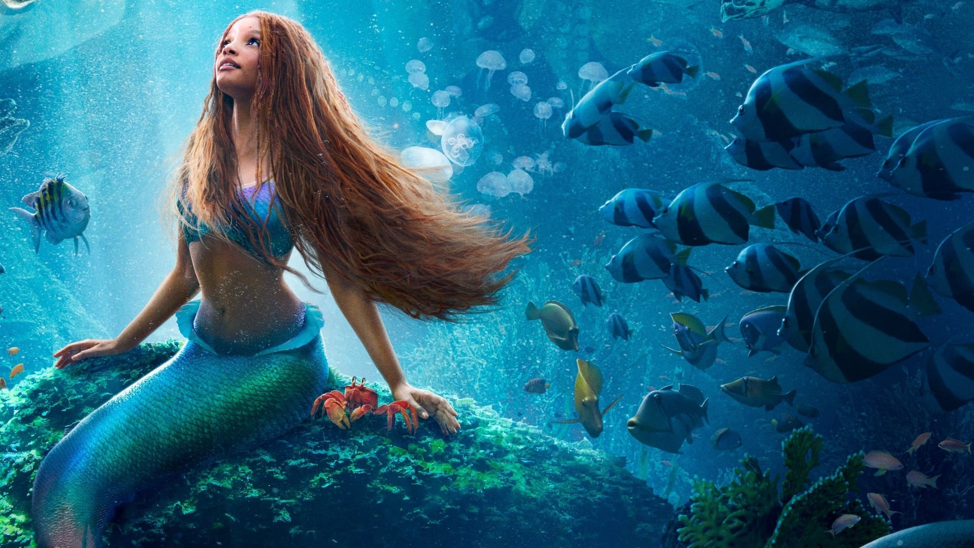 Foto do filme A Pequena Sereia