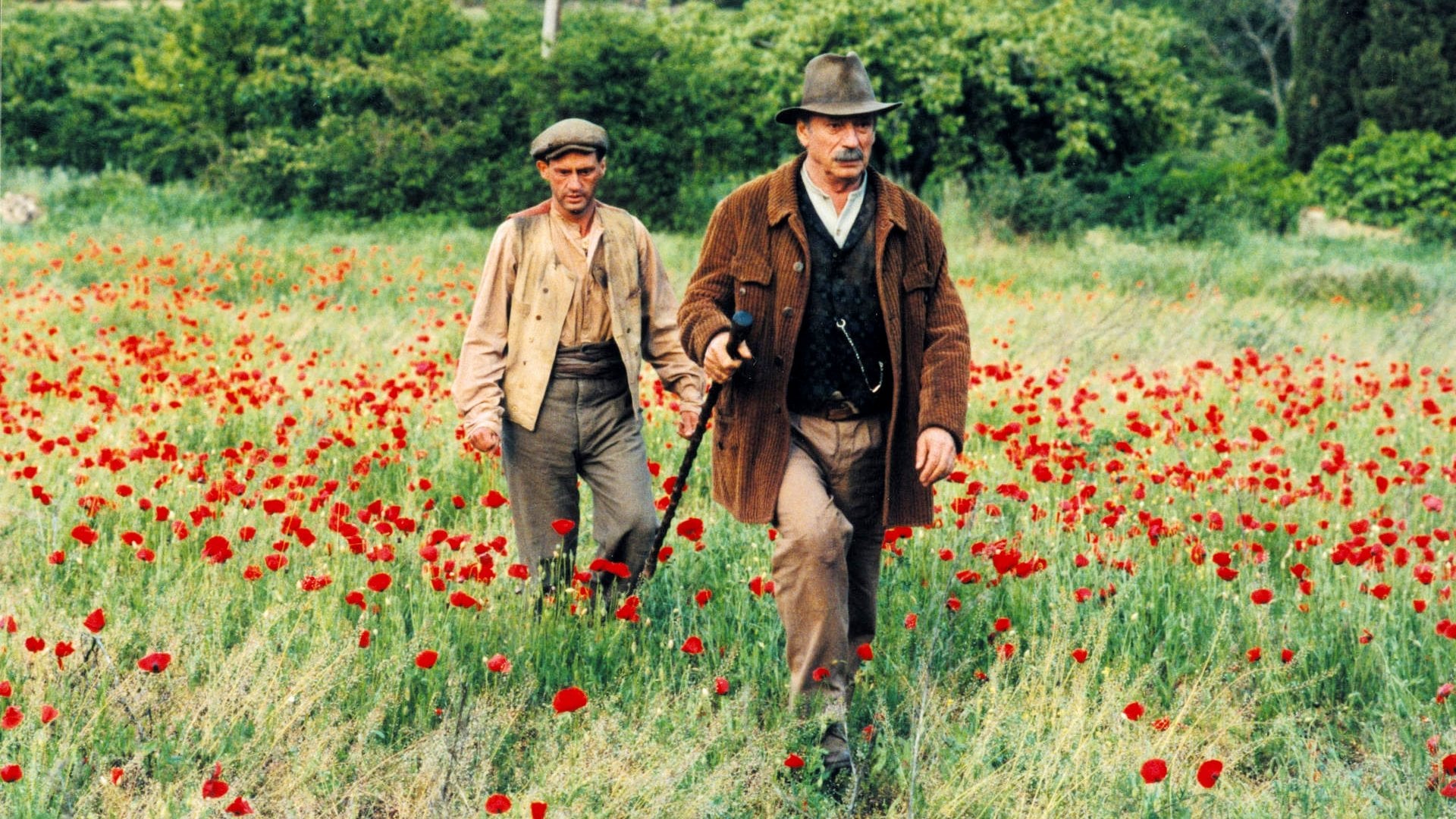 Foto do filme Jean de Florette