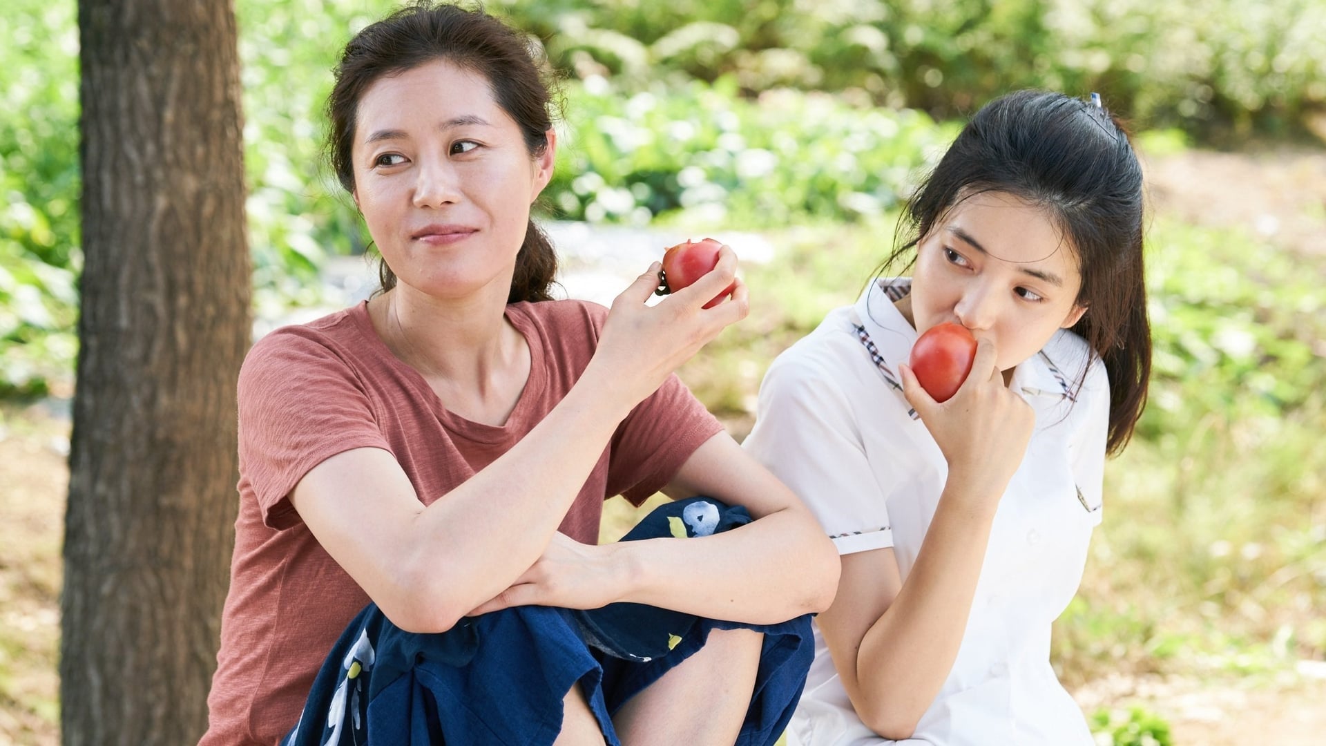 Foto do filme Pequeno Bosque