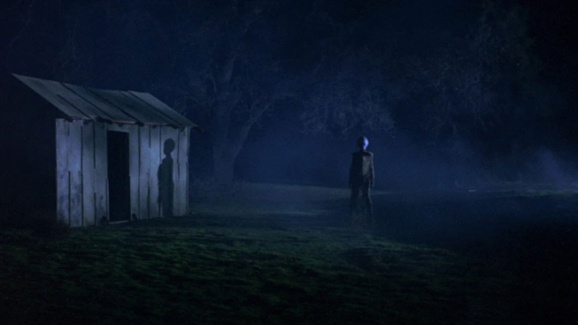 Foto do filme Without Warning