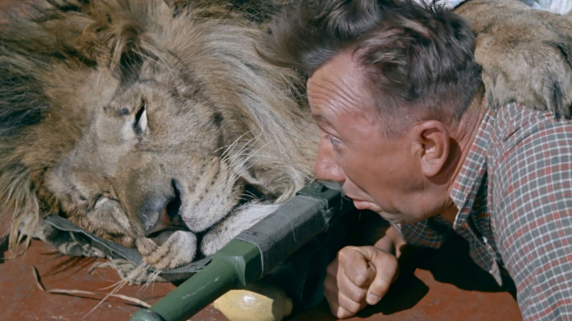 Foto do filme Striped Trip