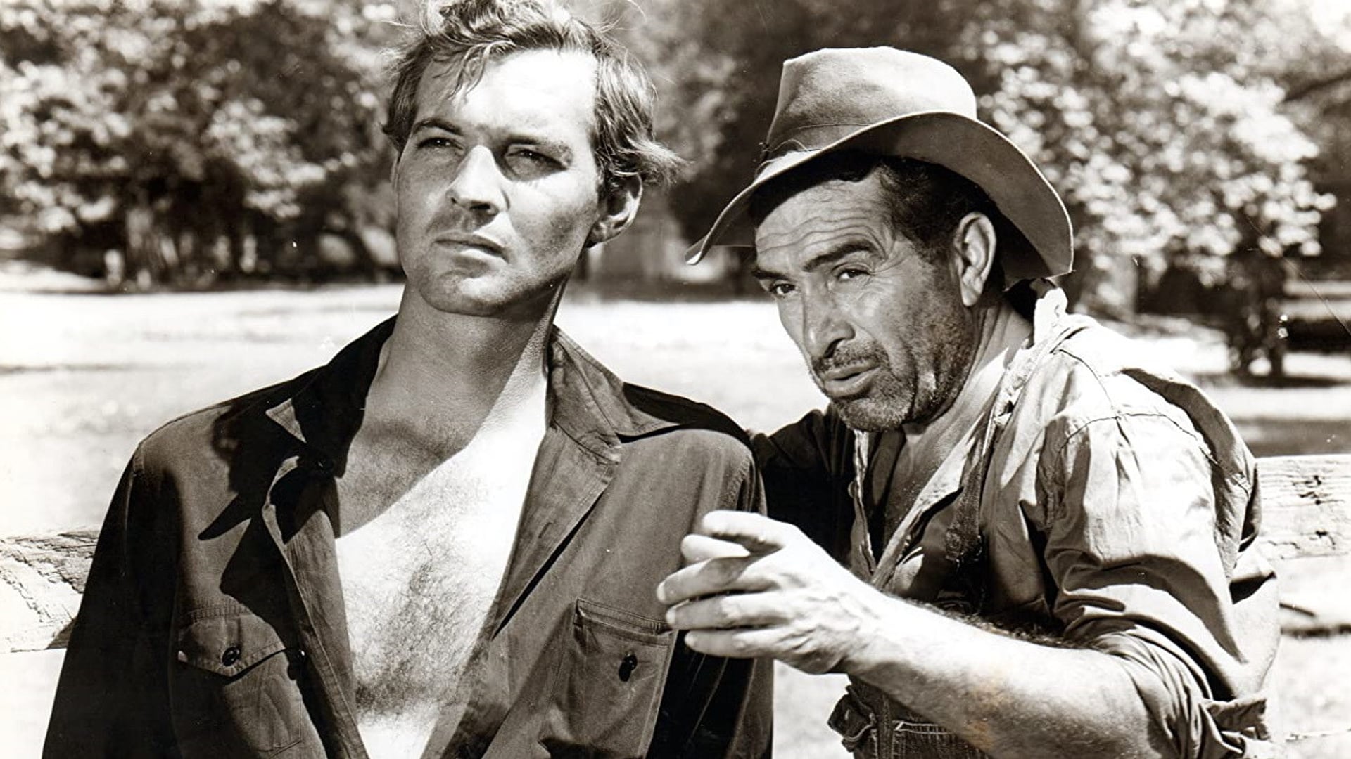 Foto do filme Amor à Terra