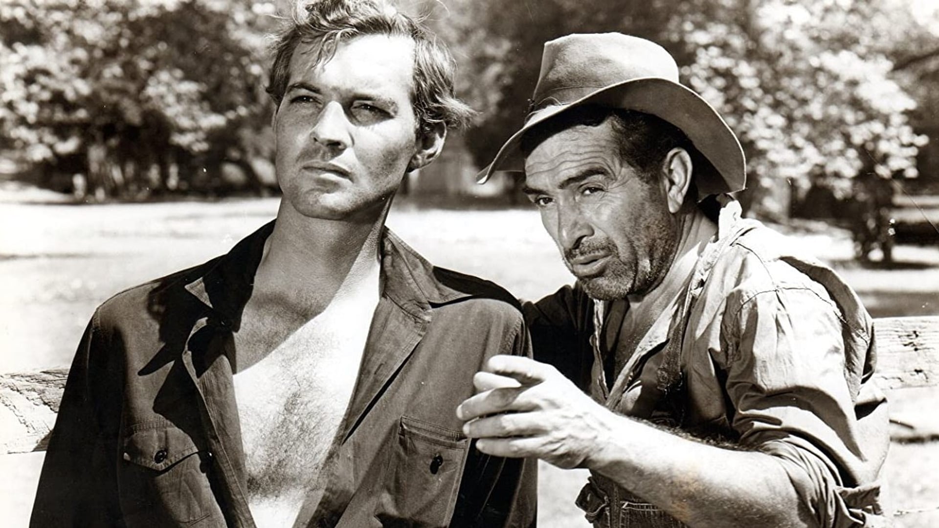 Foto do filme Amor à Terra