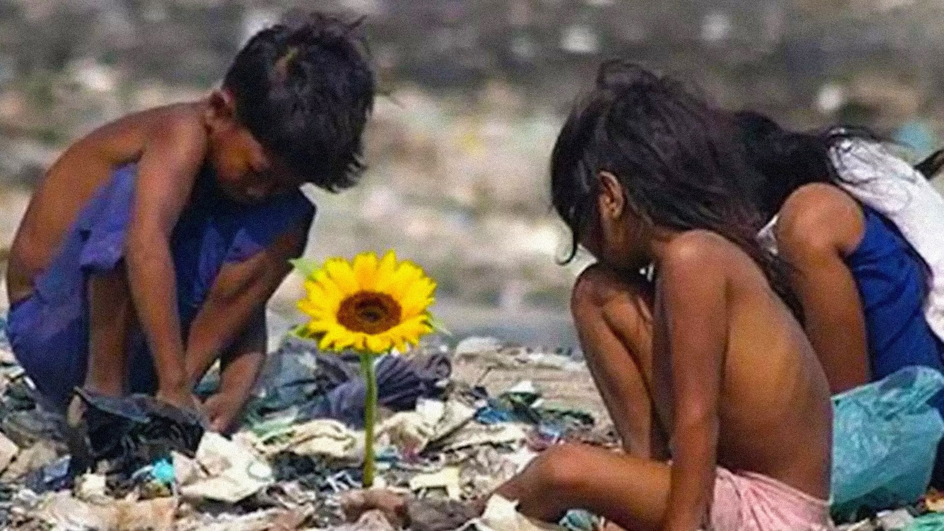 Foto do filme Ilha das Flores