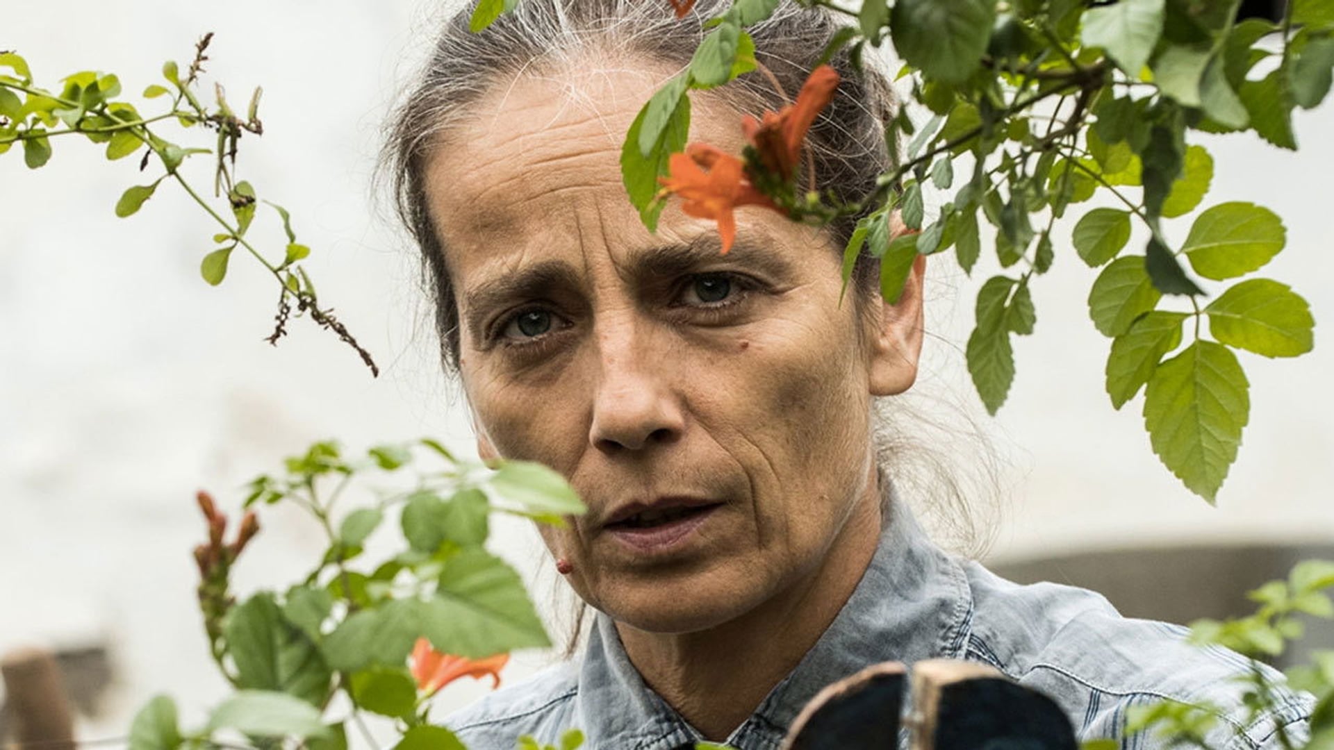 Foto do filme L'intrusa