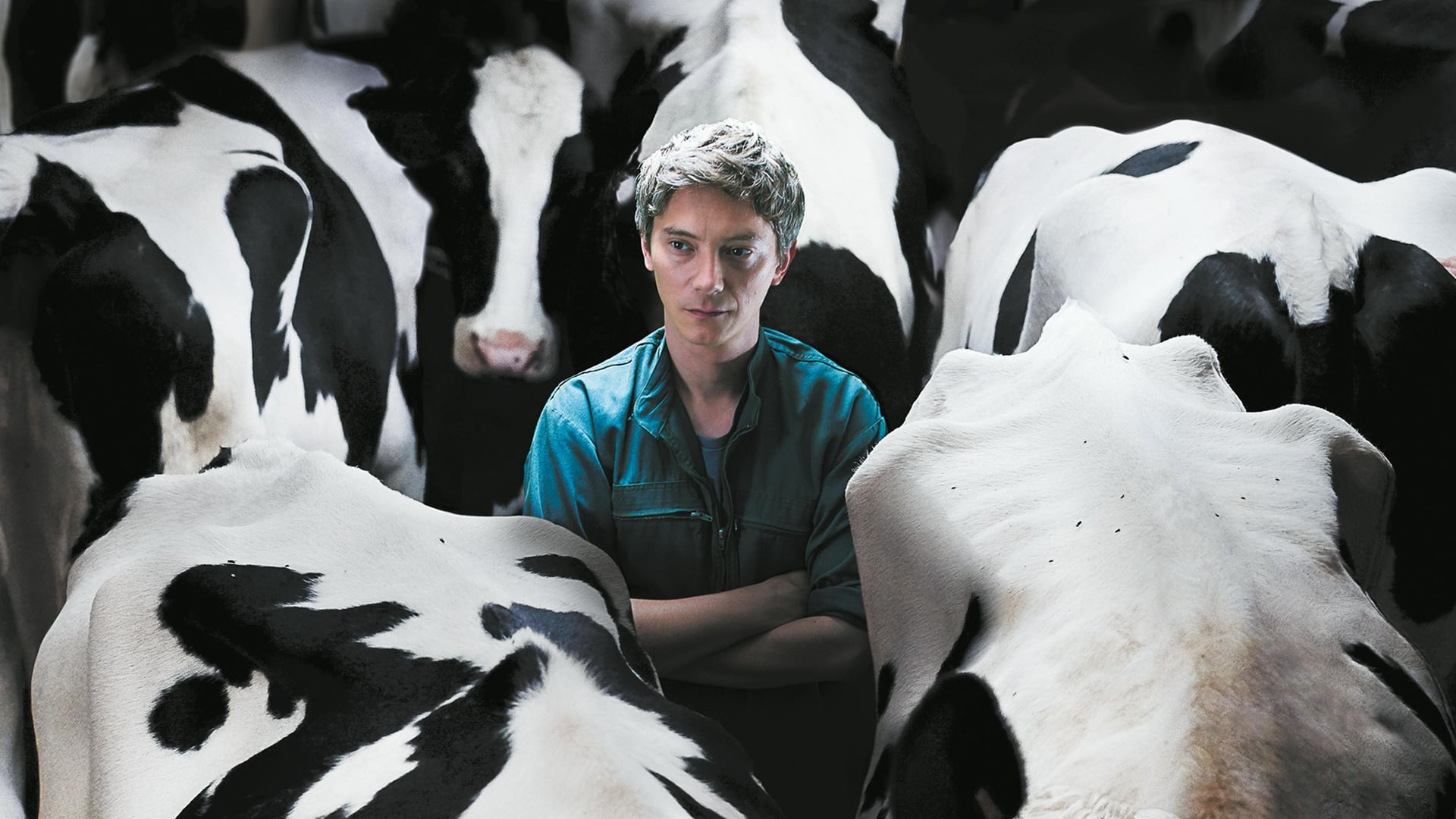 Foto do filme O Pequeno Fazendeiro