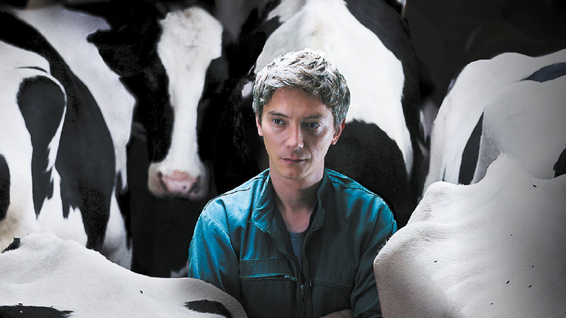 Foto do filme O Pequeno Fazendeiro
