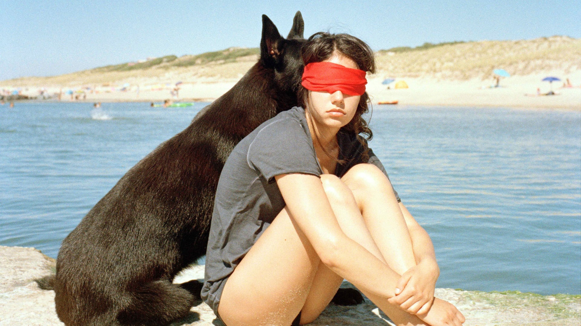 Foto do filme Ava