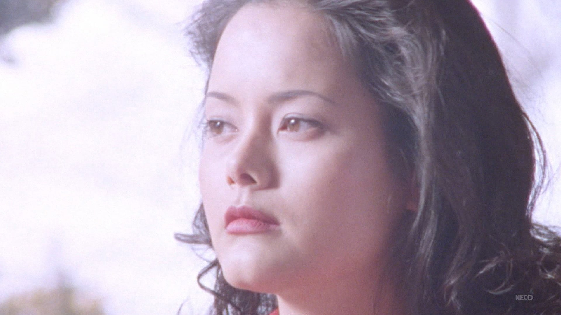 Foto do filme A Weapon in My Heart